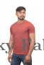 Mens Carrot Round Neck Pure Cotton T-shirts
